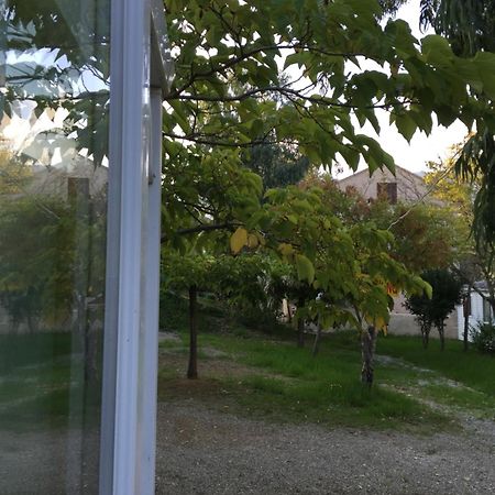 Camping Les Orangers San-Martino-di-Lota Rum bild