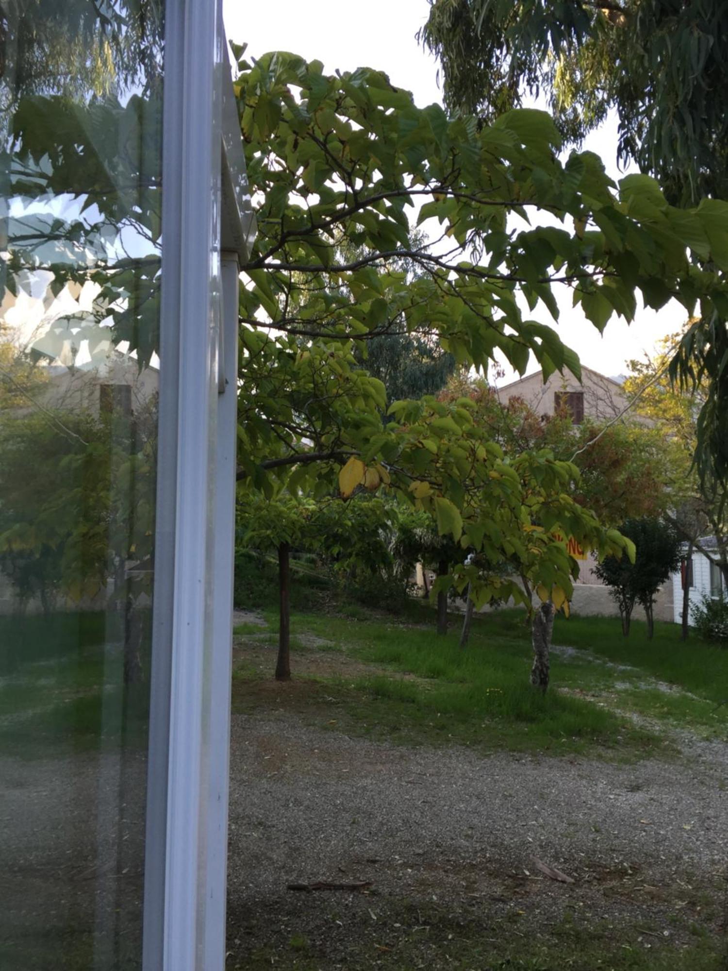 Camping Les Orangers San-Martino-di-Lota Rum bild