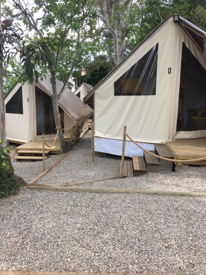 Camping Les Orangers San-Martino-di-Lota Exteriör bild